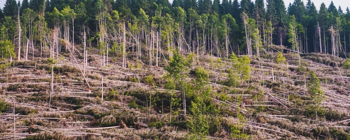 Influencia del Cambio Climático en la agricultura